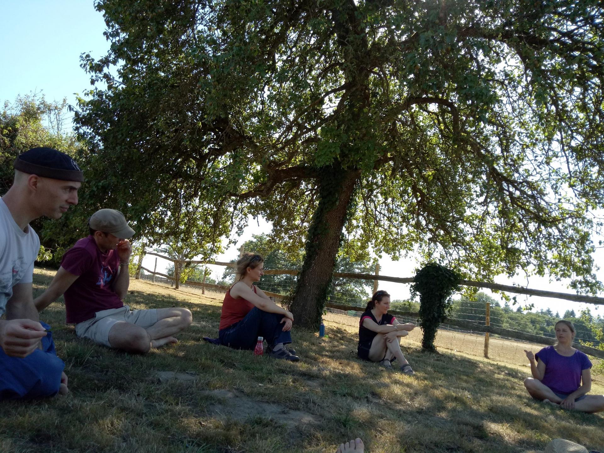 Atelier cueillette plantes sauvages comestibles