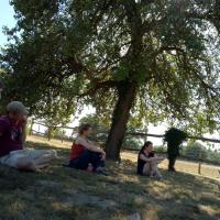 Atelier cueillette plantes sauvages comestibles