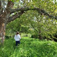 Marcher dans l'herbe