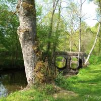 Les alentours sur la Sarthe